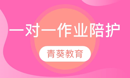 一对一作业陪护