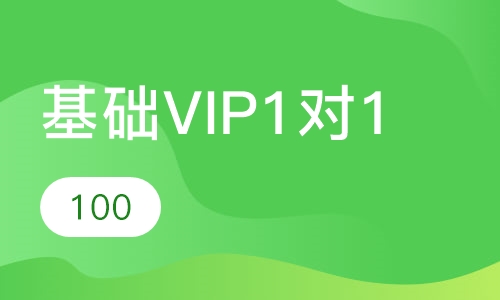 基础VIP1对1