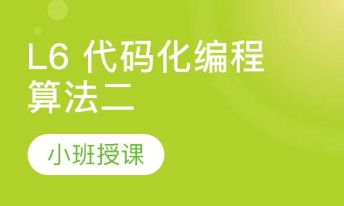 L6 代码化编程算法二