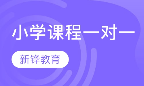 小学课程一对一辅导