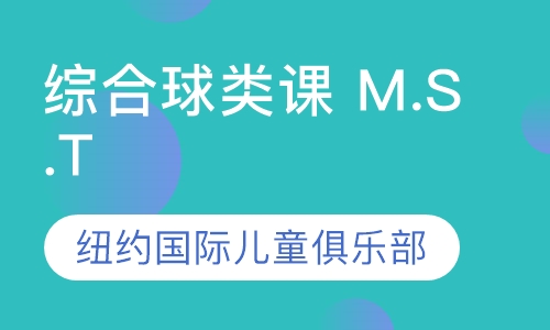 综合球类课 M.S.T