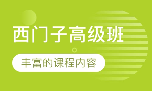 西门子高级班