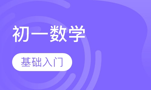 初一数学辅导