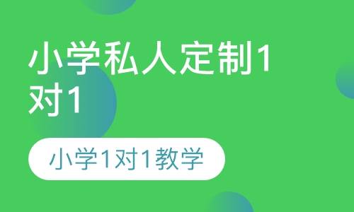 小学私人定制1对1