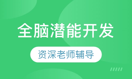 全脑潜能开发悟进法