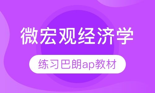 微宏观经济学