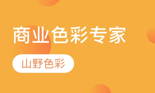 商业色彩专家