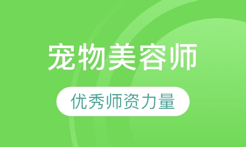 宠物师B级