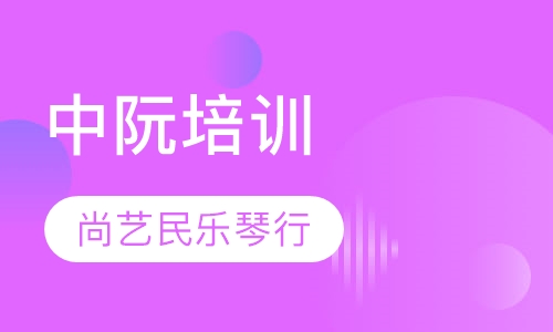 中阮培训