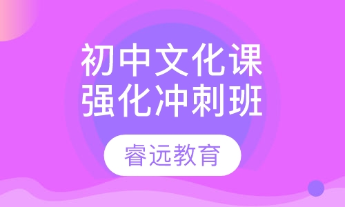 初中文化课强化冲刺班