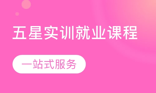 五星实训就业课程