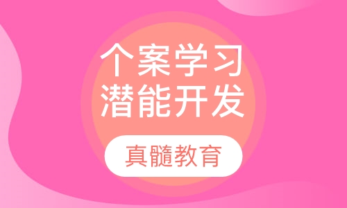 个案学习潜能开发特训