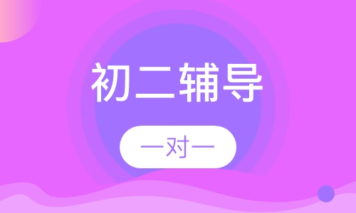 初二一对一辅导
