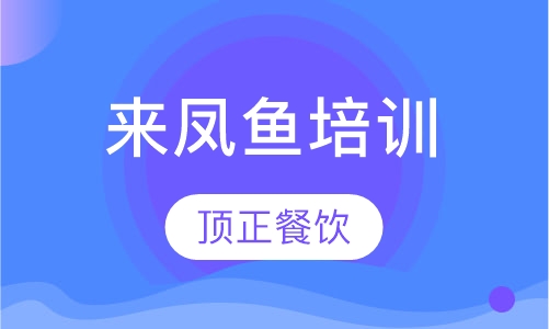 来凤鱼培训