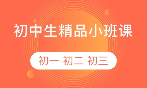 初中各年级精品小班课