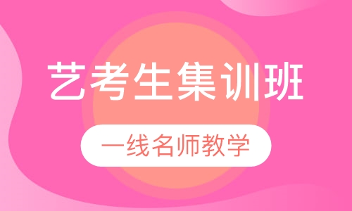 艺考生文化课集训班