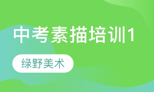 中考素描培训1
