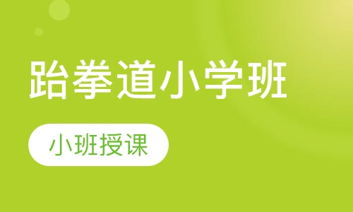 跆拳道小学班