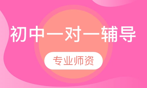 初中一对一辅导