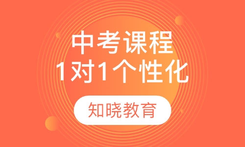 中考辅导课程 1对1个性化辅导