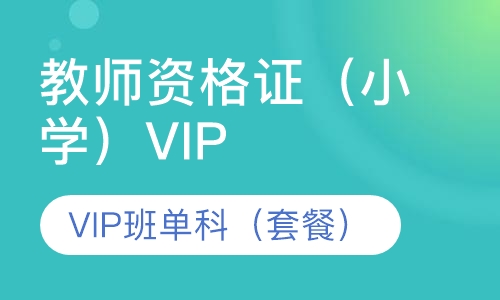 教师资格证（小学）VIP班单科（套餐）