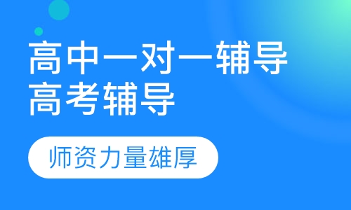 高中一对一辅导高考辅导
