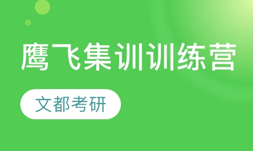 鹰飞集训训练营