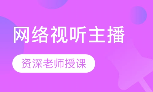 网络视听主播