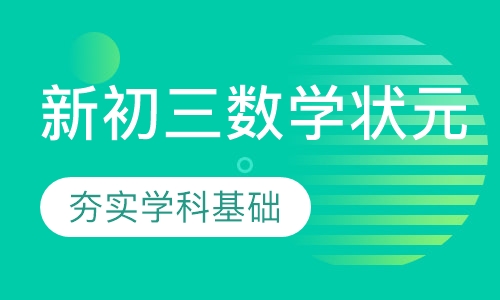 新初三数学状元班
