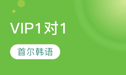 VIP1对1