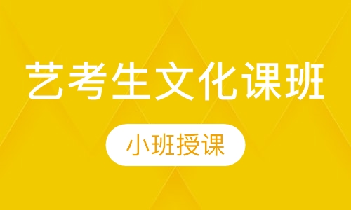 艺考生文化课班