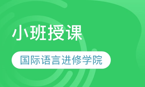 日语、韩语、法语、德语、意大利语、西班牙