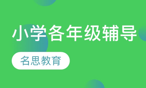 小学各年级辅导