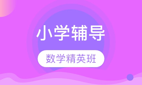 小学数学精英班