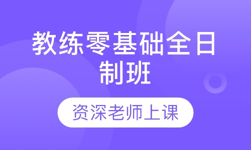 教练零基础全日制班