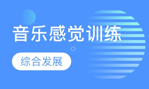 音乐感统训练