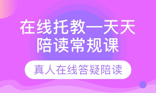 双师课在线托教—天天陪读常规课程