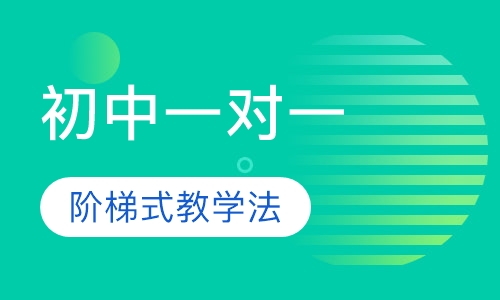 初中一对一