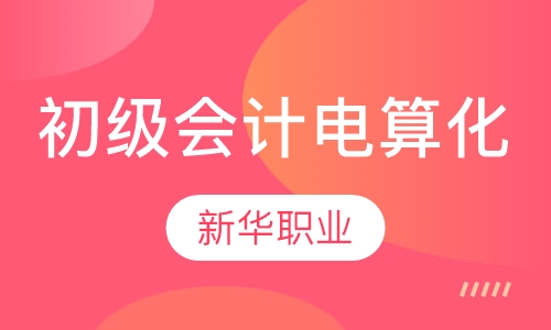 初级会计电算化