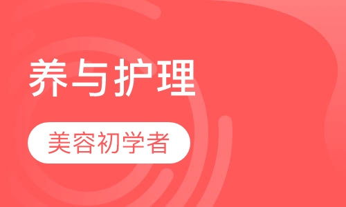 专业保养与护理