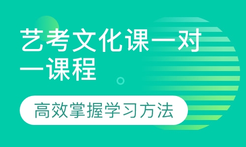 艺考文化课一对一课程