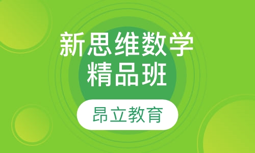 新思维数学精品班