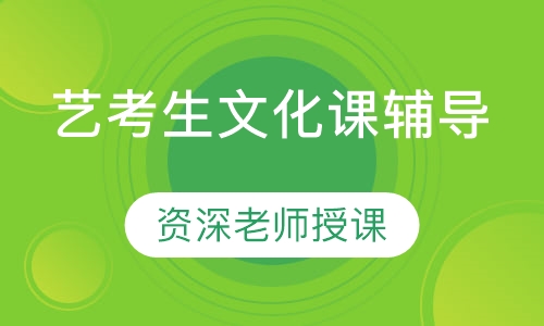 艺考生文化课辅导