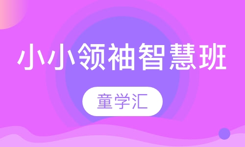 小小领袖智慧班