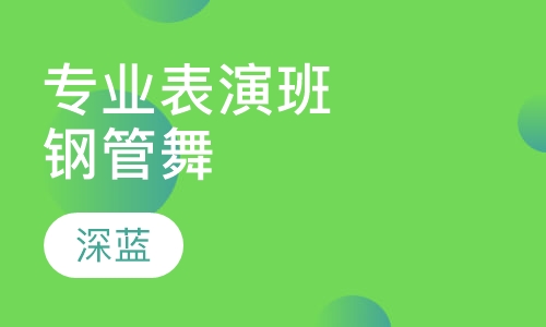 专业表演班钢管舞