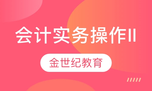 会计实务操作II