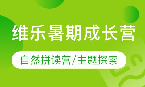 维乐暑期成长营