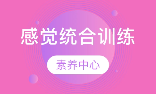 感觉统合训练