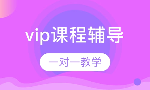 vip课程辅导