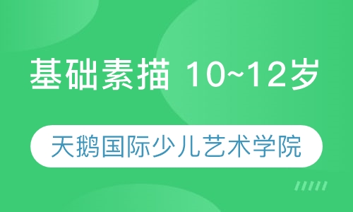 基础素描 10~12岁